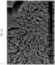 Fig. 07 - Method of preparing positive active material for rechargeable lithium battery