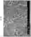 Fig. 08 - Method of preparing positive active material for rechargeable lithium battery