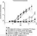 Fig. 01 - MULTISPECIFIC ANTIGEN BINDING MOLECULES THAT BIND CD38 AND 4-1BB, AND USES THEREOF