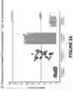 Fig. 03 - MULTISPECIFIC ANTIGEN BINDING MOLECULES THAT BIND CD38 AND 4-1BB, AND USES THEREOF
