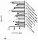 Fig. 110 - TIL expansion processes using specific cytokine combinations and/or AKTi treatment