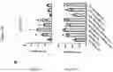 Fig. 115 - TIL expansion processes using specific cytokine combinations and/or AKTi treatment