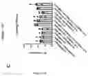 Fig. 155 - TIL expansion processes using specific cytokine combinations and/or AKTi treatment