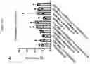 Fig. 162 - TIL expansion processes using specific cytokine combinations and/or AKTi treatment