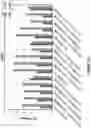 Fig. 166 - TIL expansion processes using specific cytokine combinations and/or AKTi treatment