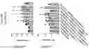 Fig. 178 - TIL expansion processes using specific cytokine combinations and/or AKTi treatment