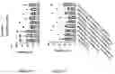 Fig. 187 - TIL expansion processes using specific cytokine combinations and/or AKTi treatment