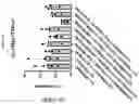 Fig. 191 - TIL expansion processes using specific cytokine combinations and/or AKTi treatment