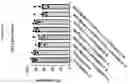 Fig. 205 - TIL expansion processes using specific cytokine combinations and/or AKTi treatment