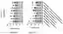 Fig. 210 - TIL expansion processes using specific cytokine combinations and/or AKTi treatment