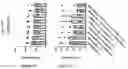 Fig. 211 - TIL expansion processes using specific cytokine combinations and/or AKTi treatment