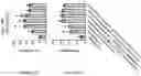 Fig. 262 - TIL expansion processes using specific cytokine combinations and/or AKTi treatment