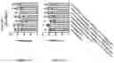 Fig. 263 - TIL expansion processes using specific cytokine combinations and/or AKTi treatment