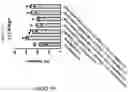 Fig. 273 - TIL expansion processes using specific cytokine combinations and/or AKTi treatment