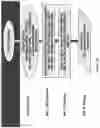 Fig. 28 - TIL expansion processes using specific cytokine combinations and/or AKTi treatment