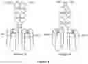 Fig. 30 - TIL expansion processes using specific cytokine combinations and/or AKTi treatment