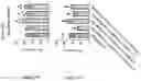 Fig. 331 - TIL expansion processes using specific cytokine combinations and/or AKTi treatment