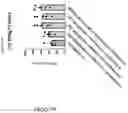 Fig. 335 - TIL expansion processes using specific cytokine combinations and/or AKTi treatment