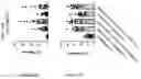 Fig. 352 - TIL expansion processes using specific cytokine combinations and/or AKTi treatment