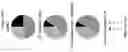 Fig. 385 - TIL expansion processes using specific cytokine combinations and/or AKTi treatment