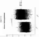 Fig. 404 - TIL expansion processes using specific cytokine combinations and/or AKTi treatment