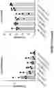 Fig. 53 - TIL expansion processes using specific cytokine combinations and/or AKTi treatment