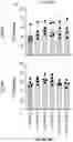 Fig. 56 - TIL expansion processes using specific cytokine combinations and/or AKTi treatment