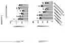 Fig. 59 - TIL expansion processes using specific cytokine combinations and/or AKTi treatment
