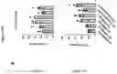 Fig. 60 - TIL expansion processes using specific cytokine combinations and/or AKTi treatment