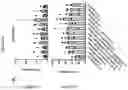 Fig. 64 - TIL expansion processes using specific cytokine combinations and/or AKTi treatment