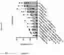 Fig. 71 - TIL expansion processes using specific cytokine combinations and/or AKTi treatment