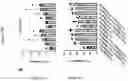 Fig. 79 - TIL expansion processes using specific cytokine combinations and/or AKTi treatment