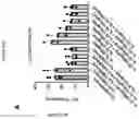 Fig. 85 - TIL expansion processes using specific cytokine combinations and/or AKTi treatment