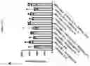 Fig. 89 - TIL expansion processes using specific cytokine combinations and/or AKTi treatment