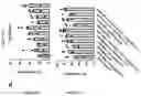 Fig. 91 - TIL expansion processes using specific cytokine combinations and/or AKTi treatment