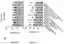 Fig. 95 - TIL expansion processes using specific cytokine combinations and/or AKTi treatment