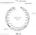 Fig. 02 - FCE mRNA capping enzyme compositions, methods and kits