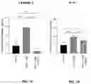 Fig. 02 - MATERIALS AND METHODS FOR TREATING CORNEAL DYSFUNCTION