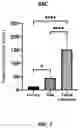 Fig. 08 - MATERIALS AND METHODS FOR TREATING CORNEAL DYSFUNCTION