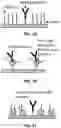 Fig. 02 - RNA and DNA analysis using engineered surfaces