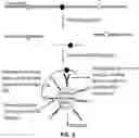 Fig. 08 - RNA and DNA analysis using engineered surfaces