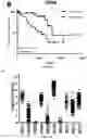 Fig. 07 - METHODS AND COMPOSITIONS FOR PREDICTING AND TREATING UVEAL MELANOMA