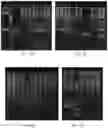 Fig. 02 - METHOD FOR DETECTING HUMAN MICROSATELLITE INSTABILITY SITE, AND USE THEREOF
