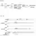 Fig. 02 - Methods To Analyze Methylomes In Tumor And Plasma Cell-Free DNA