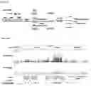 Fig. 04 - Methods To Analyze Methylomes In Tumor And Plasma Cell-Free DNA