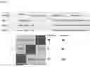 Fig. 07 - Methods To Analyze Methylomes In Tumor And Plasma Cell-Free DNA