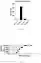 Fig. 07 - UNIVERSAL PRIMERS FOR RAPID BACTERIAL GENOME DETECTION