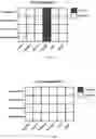 Fig. 08 - UNIVERSAL PRIMERS FOR RAPID BACTERIAL GENOME DETECTION