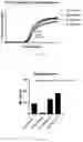 Fig. 12 - UNIVERSAL PRIMERS FOR RAPID BACTERIAL GENOME DETECTION