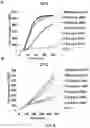 Fig. 07 - DIGITAL CRISPR-BASED METHOD FOR THE RAPID DETECTION AND ABSOLUTE QUANTIFICATION OF NUCLEIC ACIDS